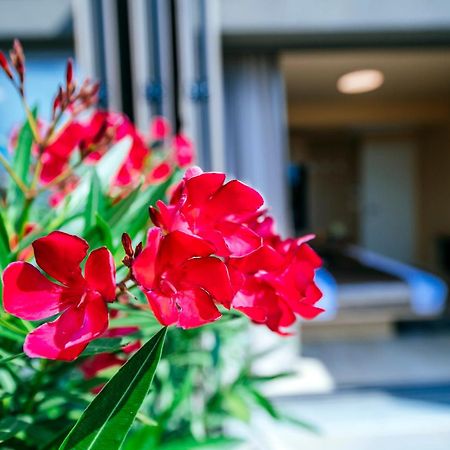 Dedaj Resort - Villa Auri Zadar Pokoj fotografie